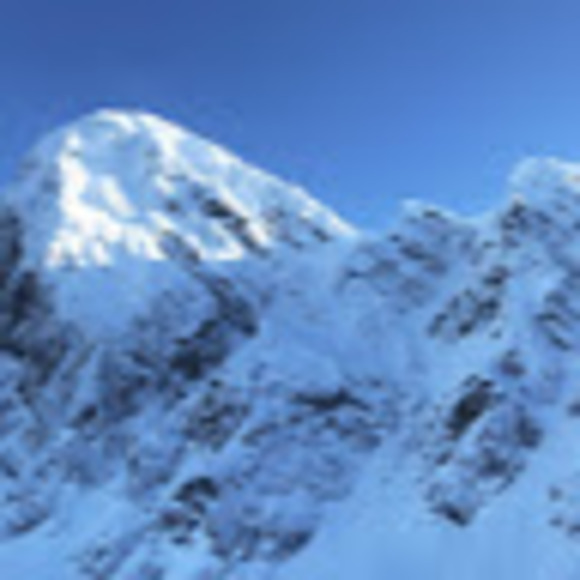 Meet your Posher, Nicole - Picture 1 of 1